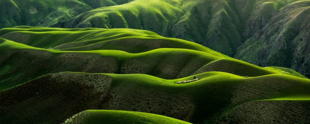 Valérie Guala-Aprile