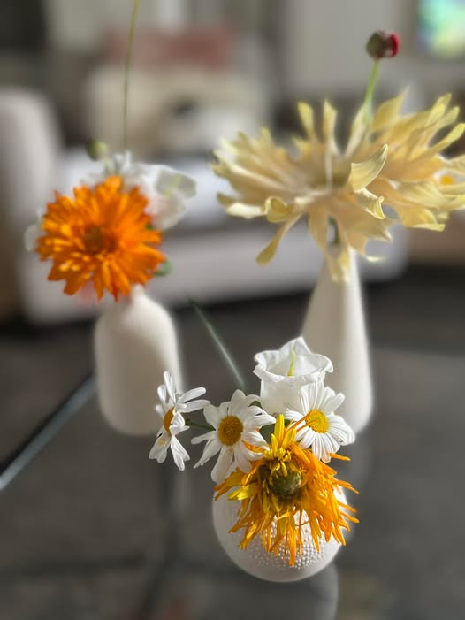 480711638 1165167665395565 4337861656899674706 N