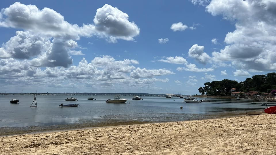 481780726 1168437728401892 7402688754957935364 N