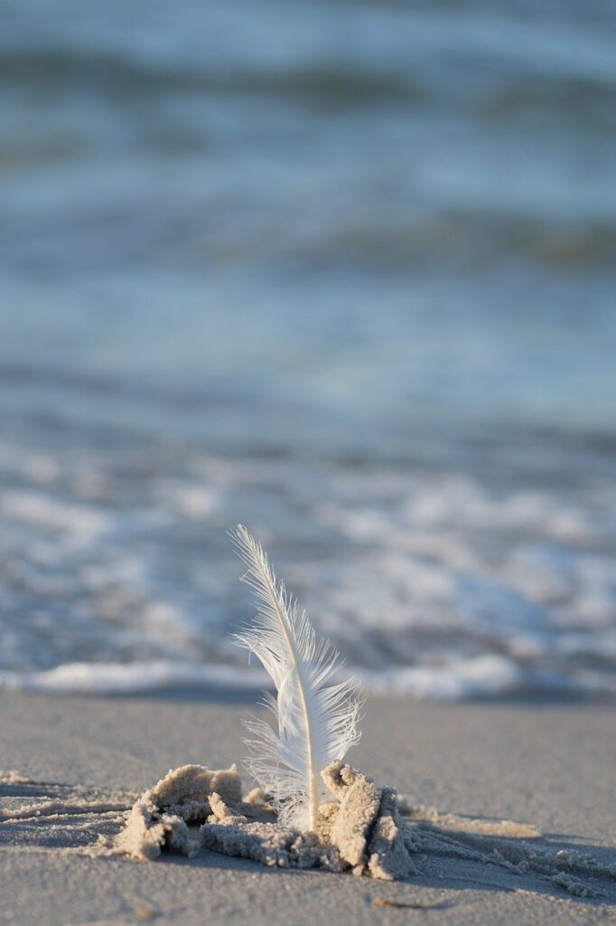 Valérie Guala-Aprile